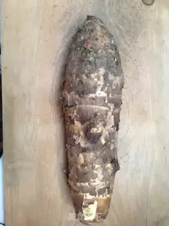 Make Pumpkin step 4