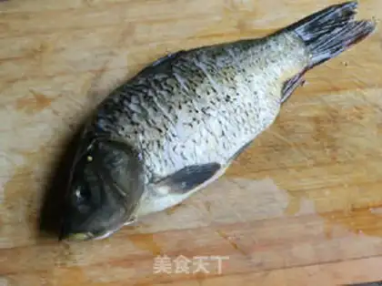 Make Carp