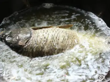 Make Carp