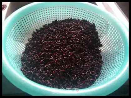 Make The rice pearls step 4