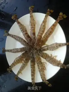 Make Shrimp step 0