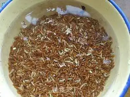 Make Red rice step 0