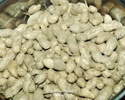 Make Five peanuts step 0