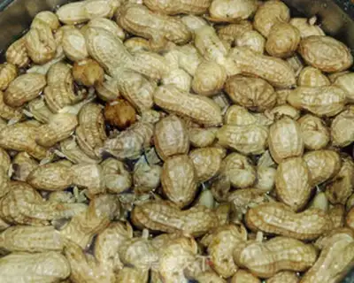 Make Five peanuts step 1