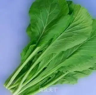 Make Fish-sprout step 1