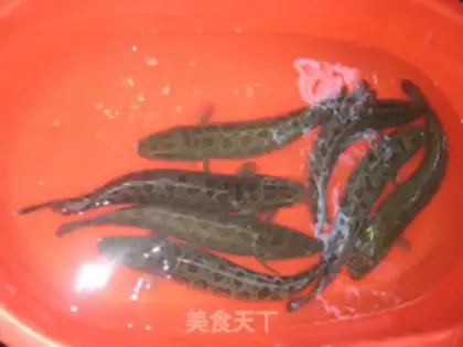 Make Fish-sprout step 2