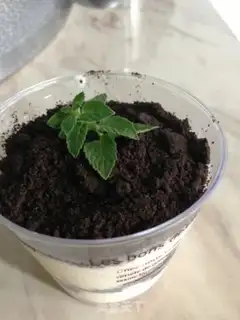 Make Battery ice cream step 5