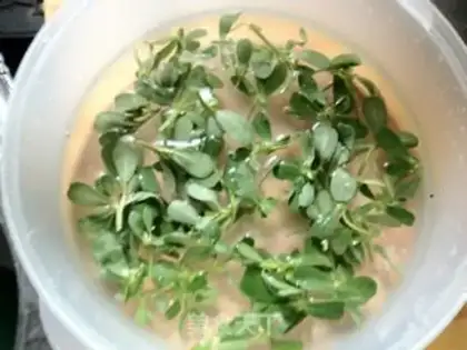 Make Chicken leg mushroom salad step 8