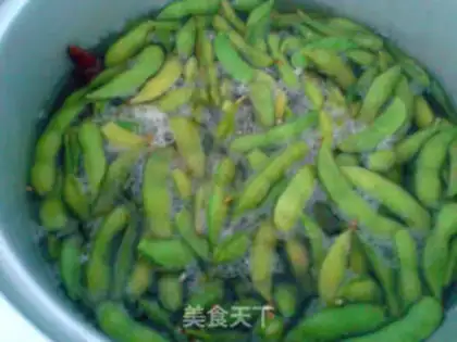 Make Five saline beans step 1