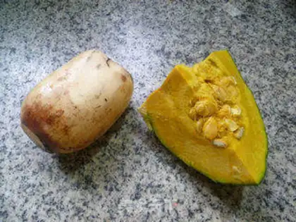 Make Lotus fired the Japanese pumpkin step 0