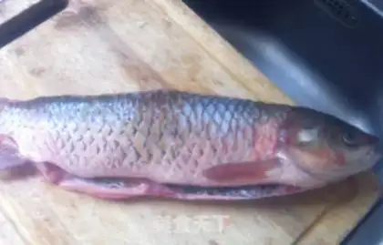 Make Sourfish step 1