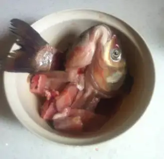Make Sourfish step 6