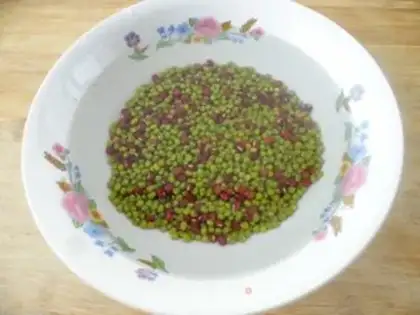 Make Honey Ice Twinbeans step 2