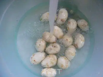 Make Onions step 1