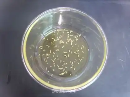 Make Spray tomatoes step 3