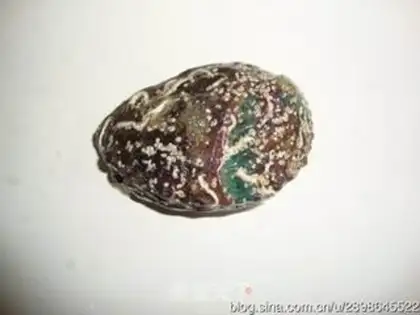 Make Abalone fish step 3