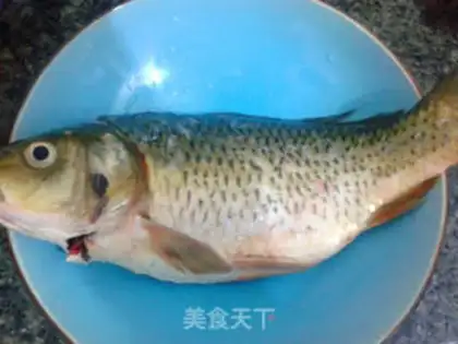 Make Jealous carp step 0