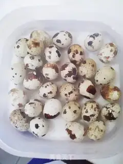 Make Spicy quail eggs step 0
