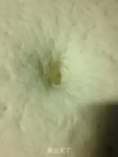 Make A fragrance roll step 4