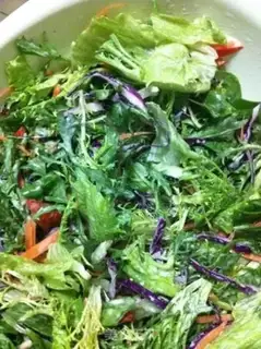 Make Nice shrub salad step 4