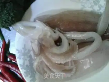 Make Squid step 0