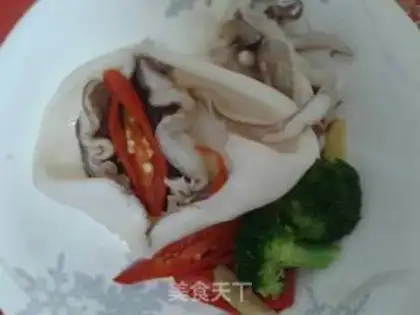 Make Squid step 2