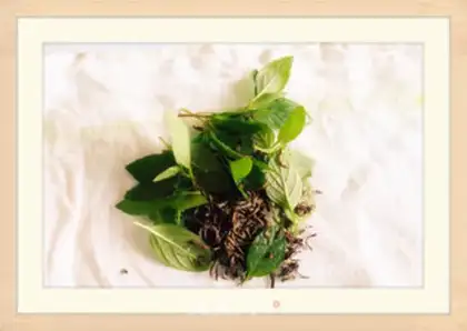 Make Honey mint tea step 1