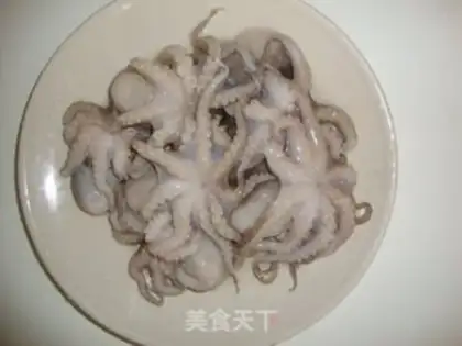 Make octopus step 0
