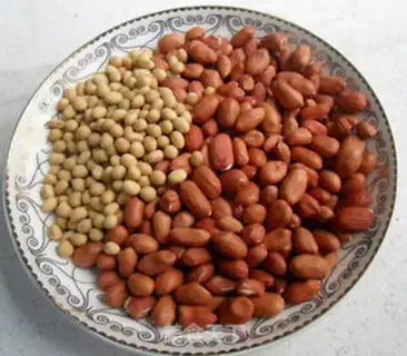 Make Plumbing peanut beans step 0