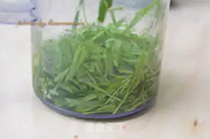Make Wheat juice step 2