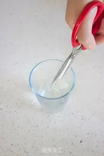 Make Yogurt cheesemus step 15