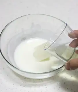 Make Yogurt cheesemus step 28