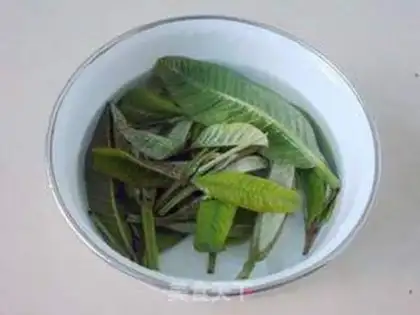 Make Pomegranate leaves to stop the laxatives step 2