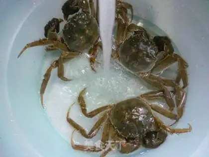 Make Vacuate crabs step 5