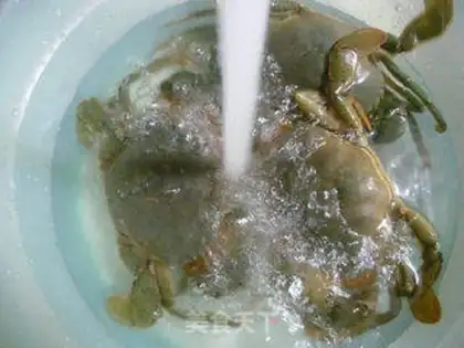 Make The green crab step 7