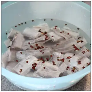 Make Come back to the fish step 0
