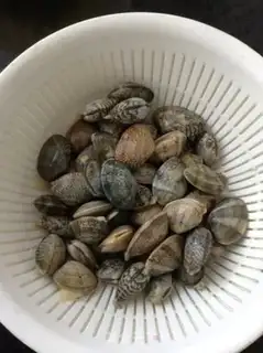 Make Curry popping clams step 3