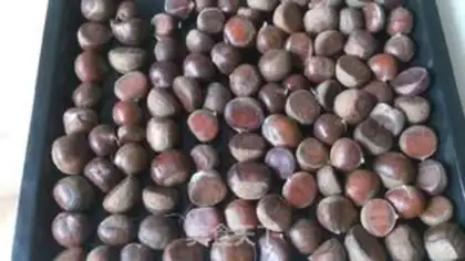 Make Original roasted chestnuts step 0