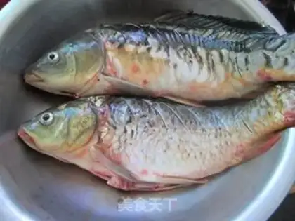 Make Squidfish step 1