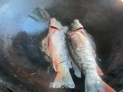 Make Squidfish step 3