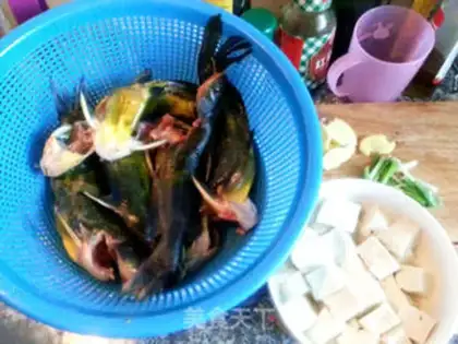 Make Ducks are tofu step 0