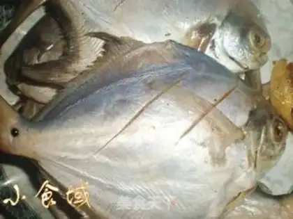 Make Crush the flat fish step 0