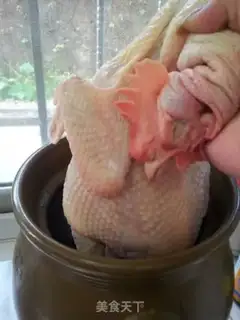 Make White pheasant step 1