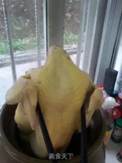 Make White pheasant step 3