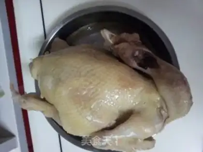 Make White pheasant step 7