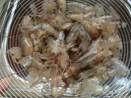 Make Shrimp oil step 0