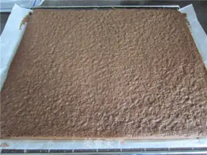 Make Tiramisu, less fat step 15