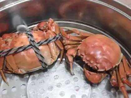 Make Crabs step 5
