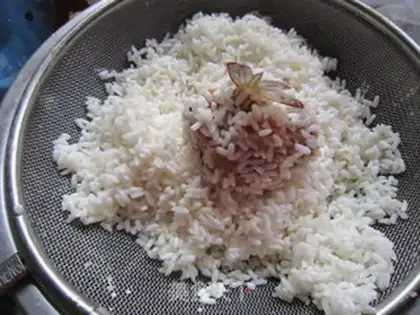 Make Shrimp ball step 8