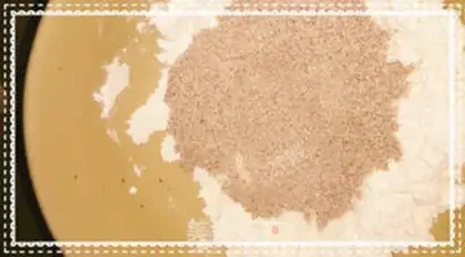 Make Two-circle Aragon step 3